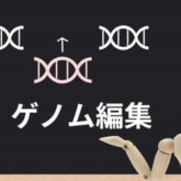 assetmanagement-4098